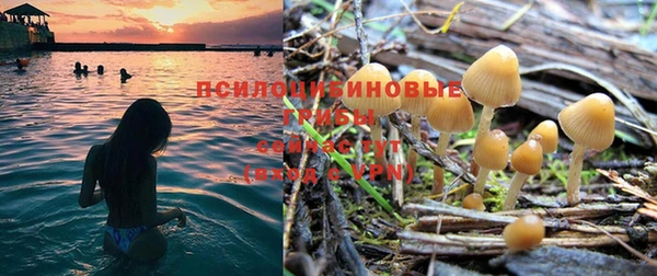 MESCALINE Верхний Тагил